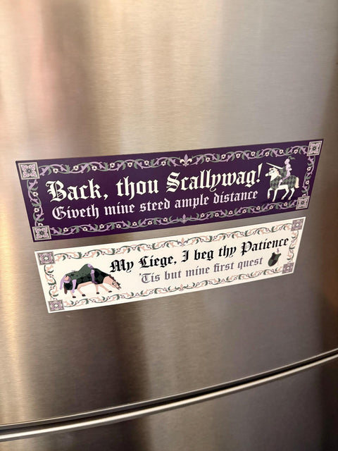 Scallywag Magnetic Bumper Sticker Bumper Sticker Magnet